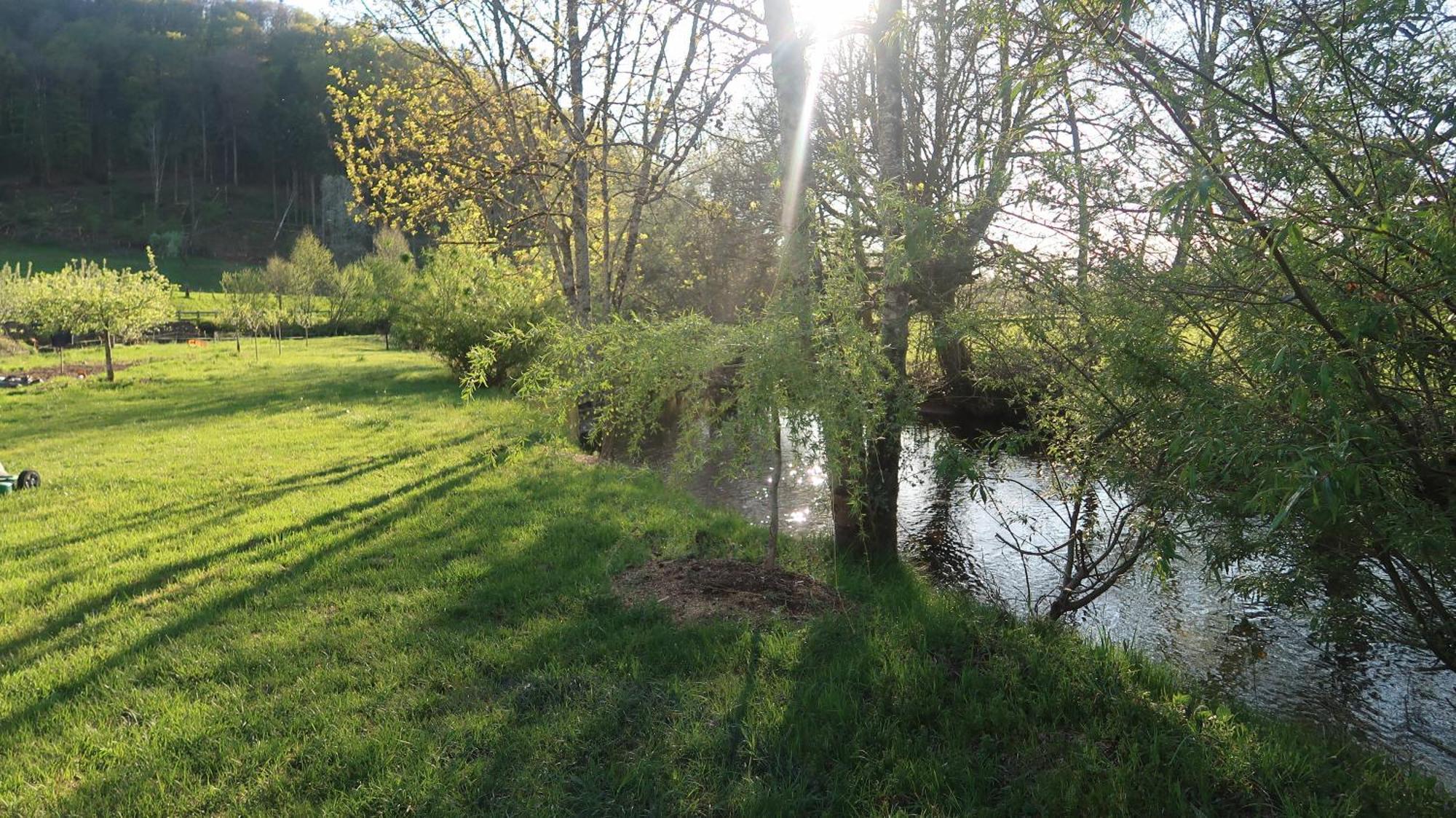 Chalet Des Aigrettes, Les 1000 Etangs La Voivre  Exteriér fotografie